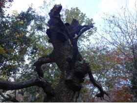 photo coins arrondis