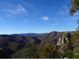 photo coins arrondis