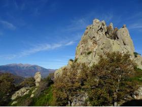 photo coins arrondis