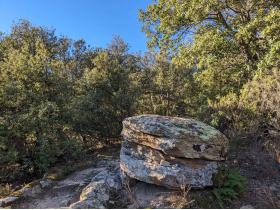 photo coins arrondis