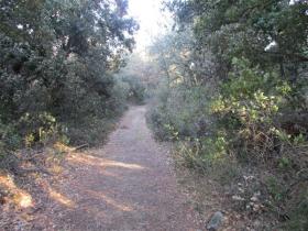 photo coins arrondis