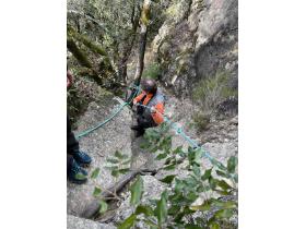 photo coins arrondis