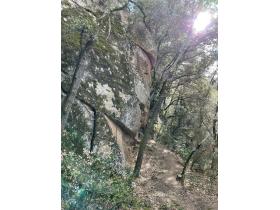 photo coins arrondis