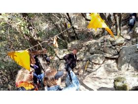 photo coins arrondis