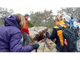 photo coins arrondis