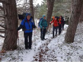 photo coins arrondis