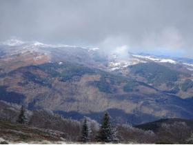 photo coins arrondis