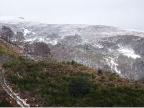 photo coins arrondis