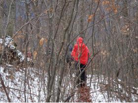 photo coins arrondis