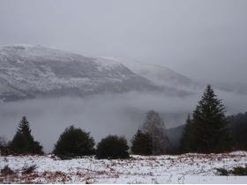 photo coins arrondis