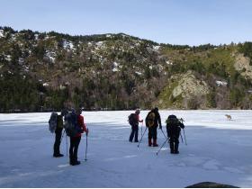 photo coins arrondis