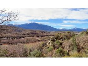 photo coins arrondis