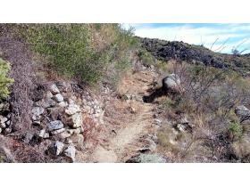 photo coins arrondis