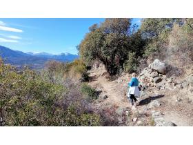 photo coins arrondis