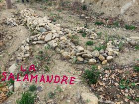 photo coins arrondis