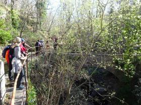 photo coins arrondis