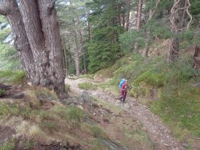 photo coins arrondis