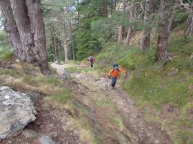 photo coins arrondis