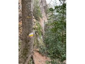 photo coins arrondis