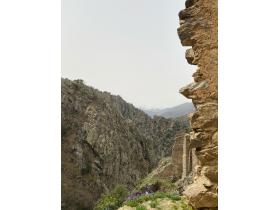 img-20240408-wa0009.jpg Image aléatoire