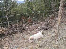 photo coins arrondis