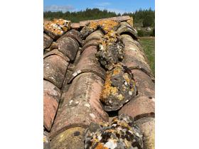 photo coins arrondis