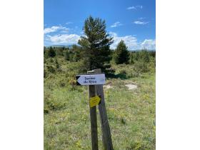 photo coins arrondis