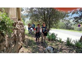 photo coins arrondis