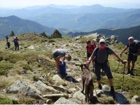 photo coins arrondis