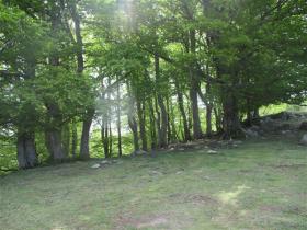 photo coins arrondis