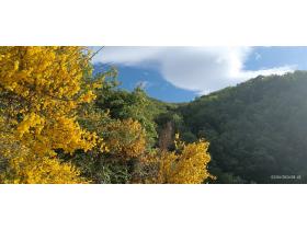 photo coins arrondis