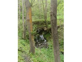 photo coins arrondis