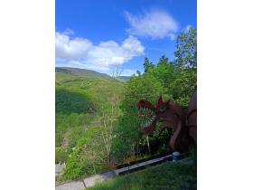 photo coins arrondis