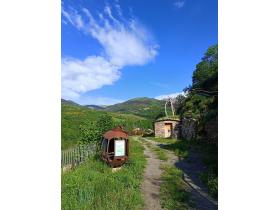 photo coins arrondis