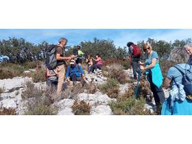 photo coins arrondis