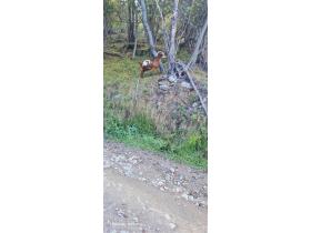 photo coins arrondis