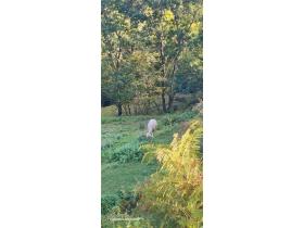 photo coins arrondis