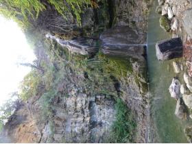 photo coins arrondis