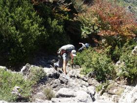 photo coins arrondis