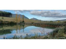 photo coins arrondis