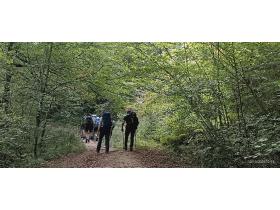 photo coins arrondis