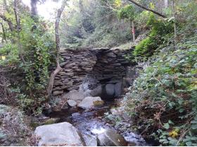 photo coins arrondis