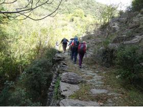 photo coins arrondis