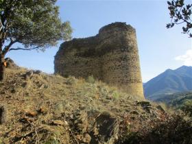 photo coins arrondis