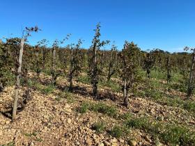 photo coins arrondis