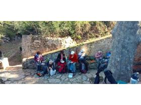 photo coins arrondis