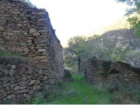 photo coins arrondis