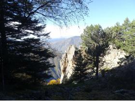 photo coins arrondis