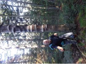 photo coins arrondis