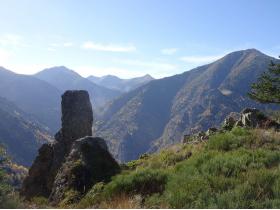 photo coins arrondis